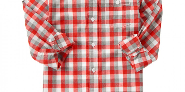 Gymboree Boys Checked Shirt