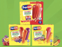 Popsicle Brand Sugar Free popsicles