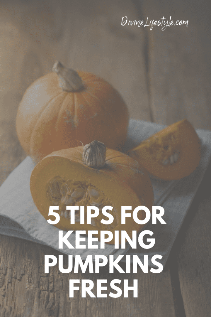 5 Tips for Keeping Pumpkins Fresh 