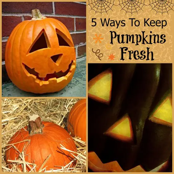 5 Tips for Keeping Pumpkins Fresh 