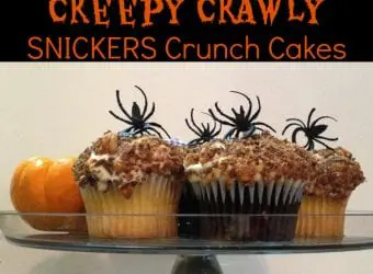 Creepy Crawly SNICKERS Crunch Cakes SpookyCelebration1