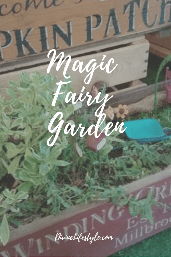 DIY Magic Fairy Garden