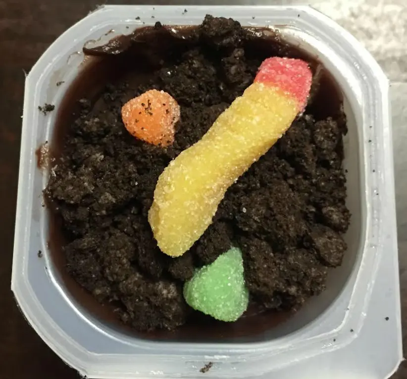 Snack Pack Gummy Worms 1