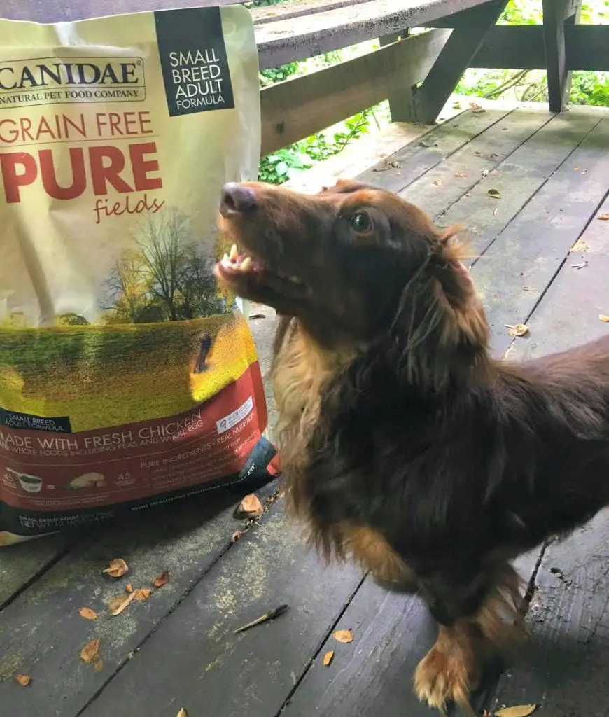 Canidae Small Breed Dog Food