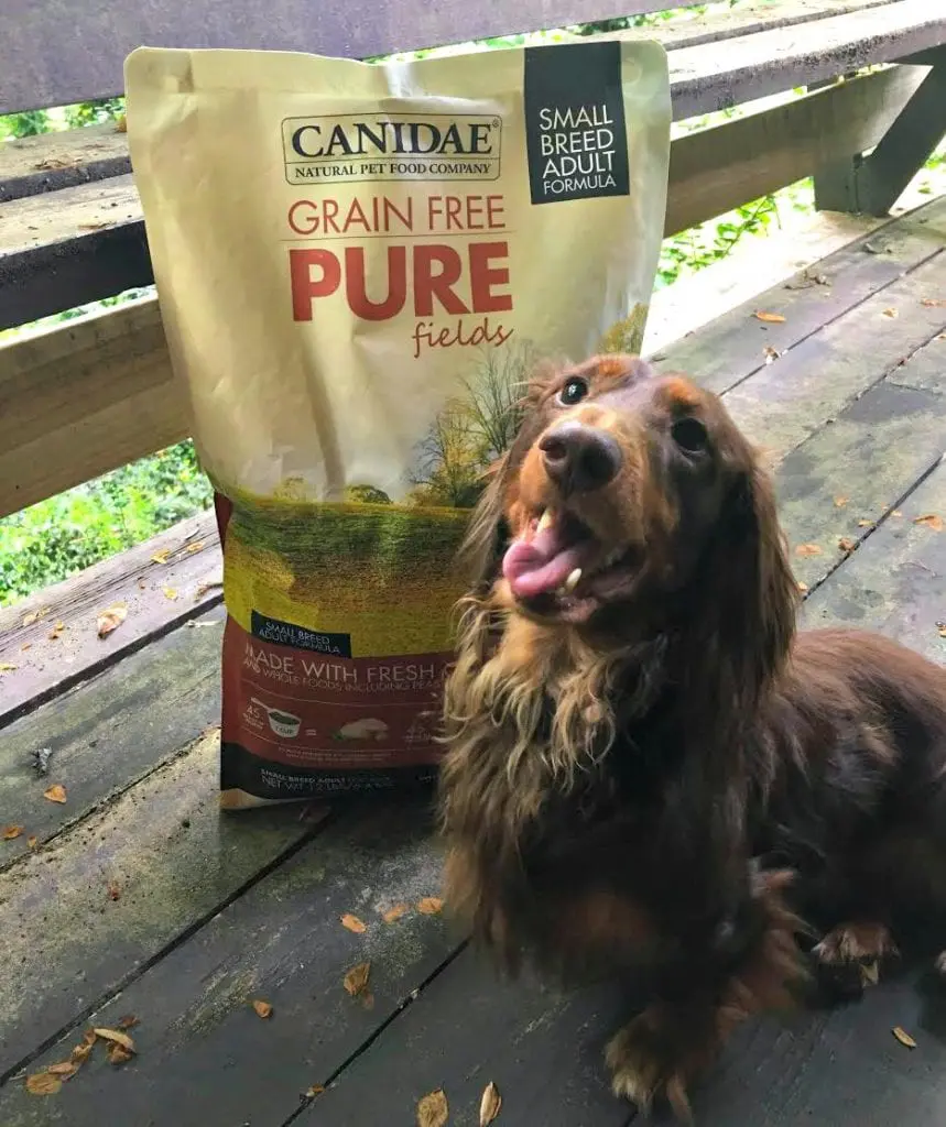 Canidae Small Breed Dog Food