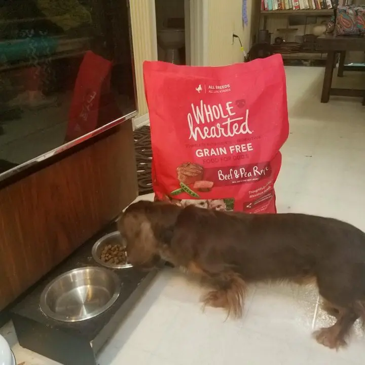 Giving your pet the best: Petco Wholehearted Dog Food #PetcoWholehearted