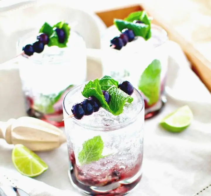 Fresh Blueberry Mojito Recipe