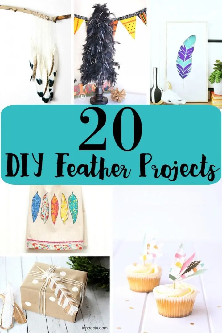 20 DIY Feather Craft Projects