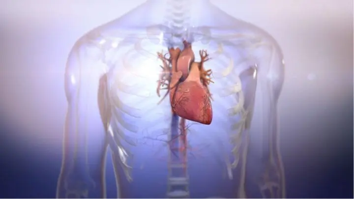 Building Hearts to Save Lives with BIOLIFE4D