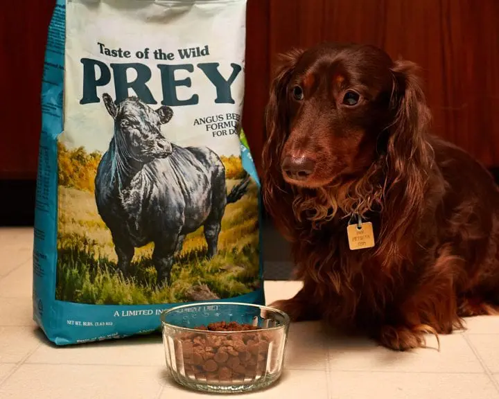 Spring Cleaning Life - PREY Dog Food