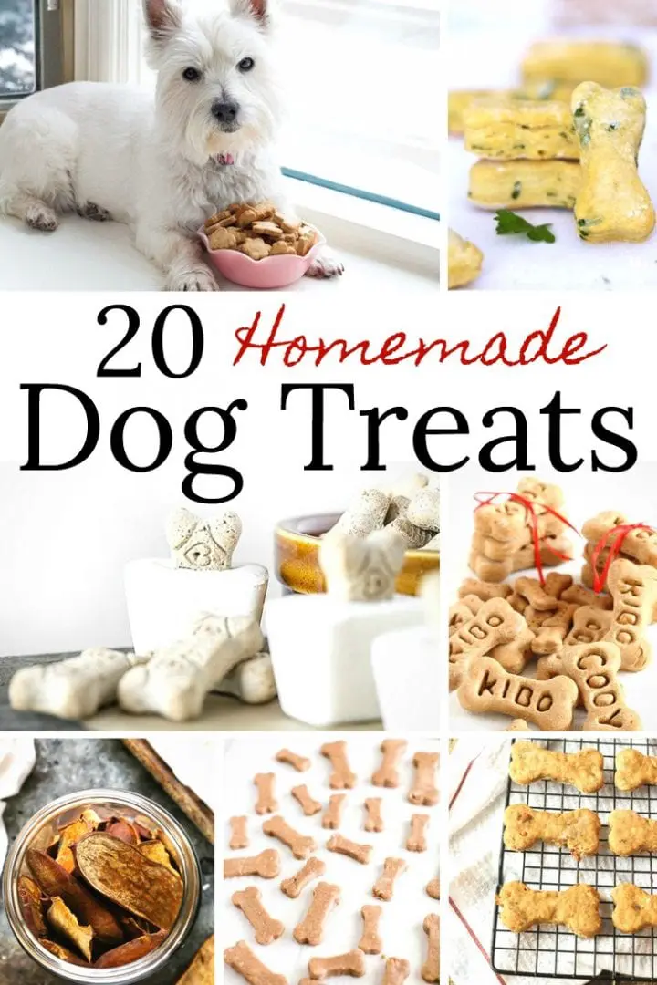 Dog Treat Recipes