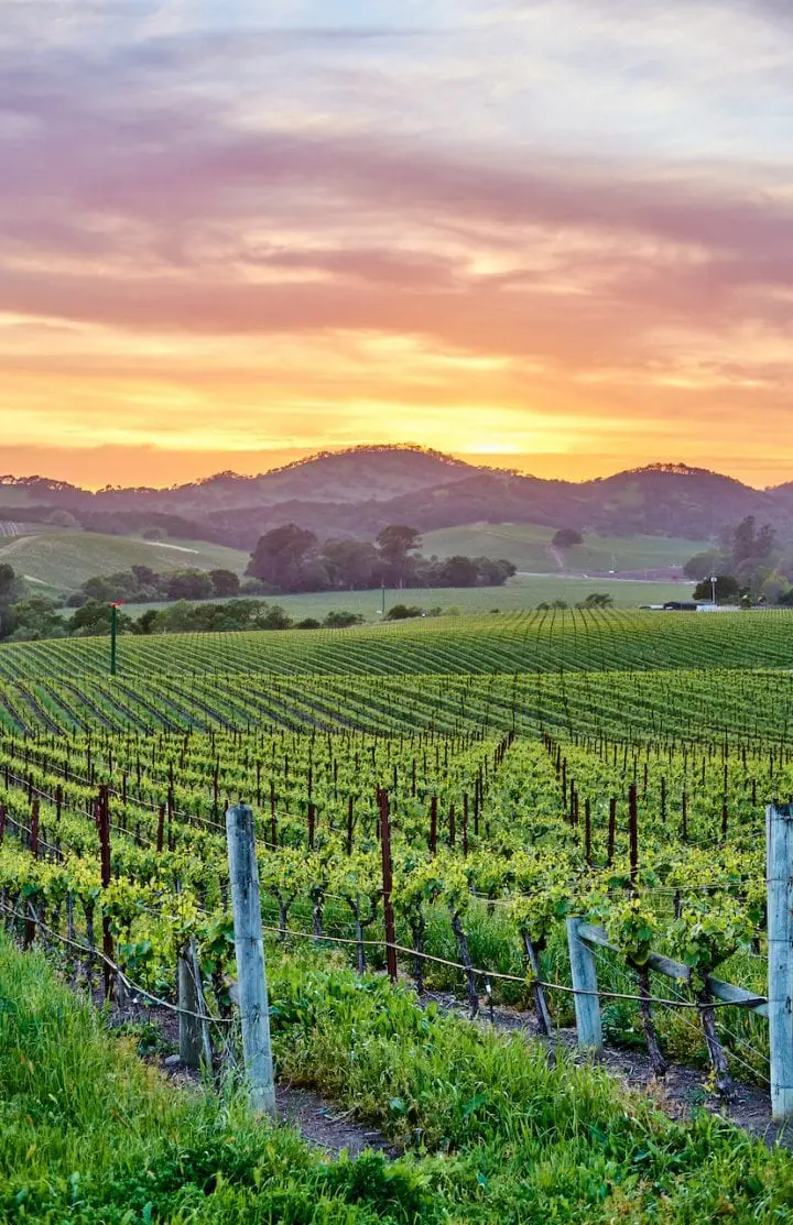 Best Things to Do in Napa Valley California