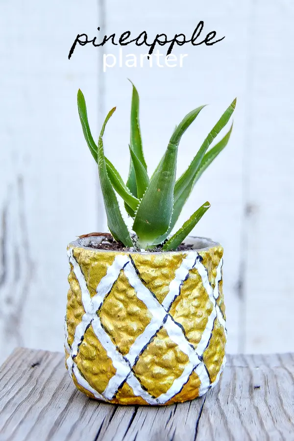 Easy DIY Pineapple Succulent Planter