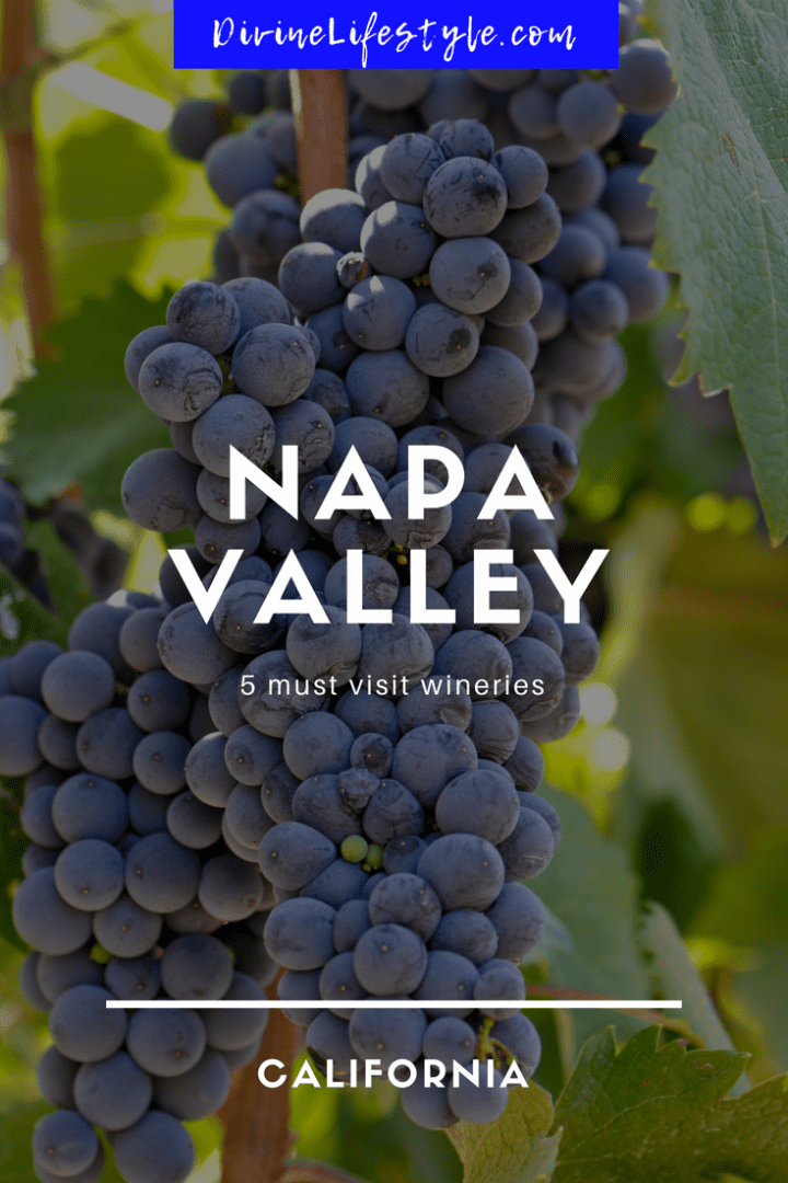 Must Visit Wineries in Napa