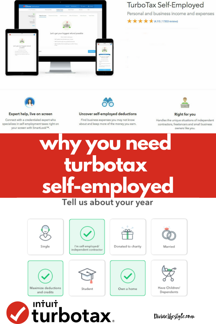TurboTax Self Employed