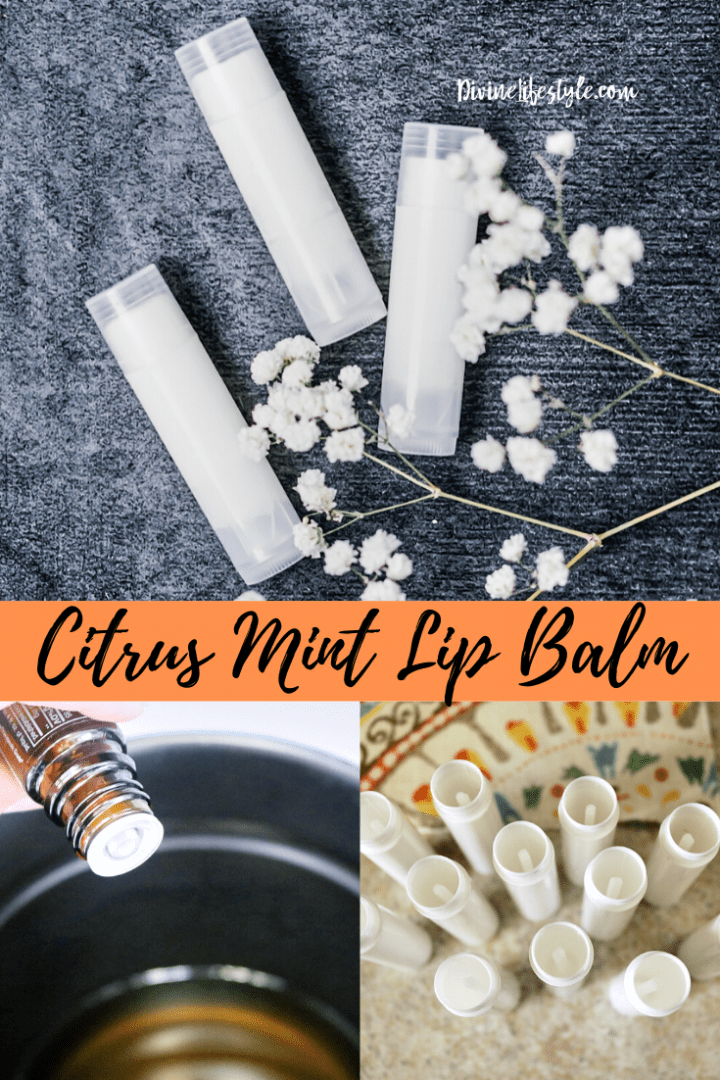 Easy DIY Citrus Mint Lip Balm