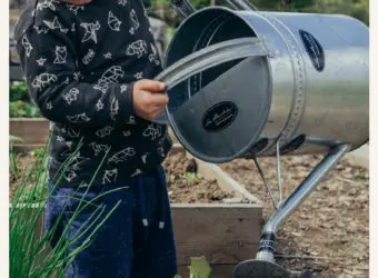 10 Creative Ways to Get Your Kids into Organic Gardening