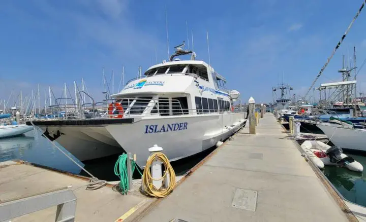 Channel Islands Whale Watch Cruise With Island Packers
