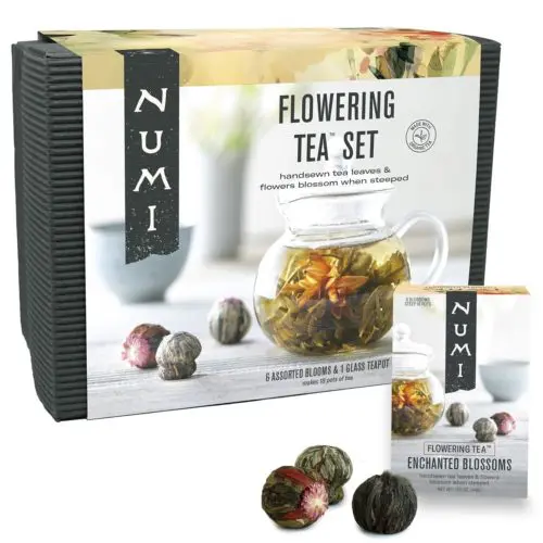 Numi Organic Flowering Tea Gift Set Handsewn Tea Blossoms & Ounce Glass Teapot Blooming Tea Flowers