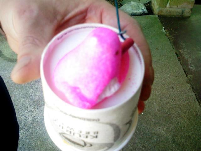 Speechless Sundays – What Happens When You Blow Up a Peep