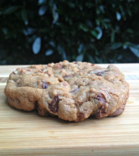 Cinnamon Chocolate Chip Cookies