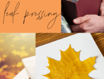 Kid Crafts: Fall Fun For Kids - Pressing Leaves