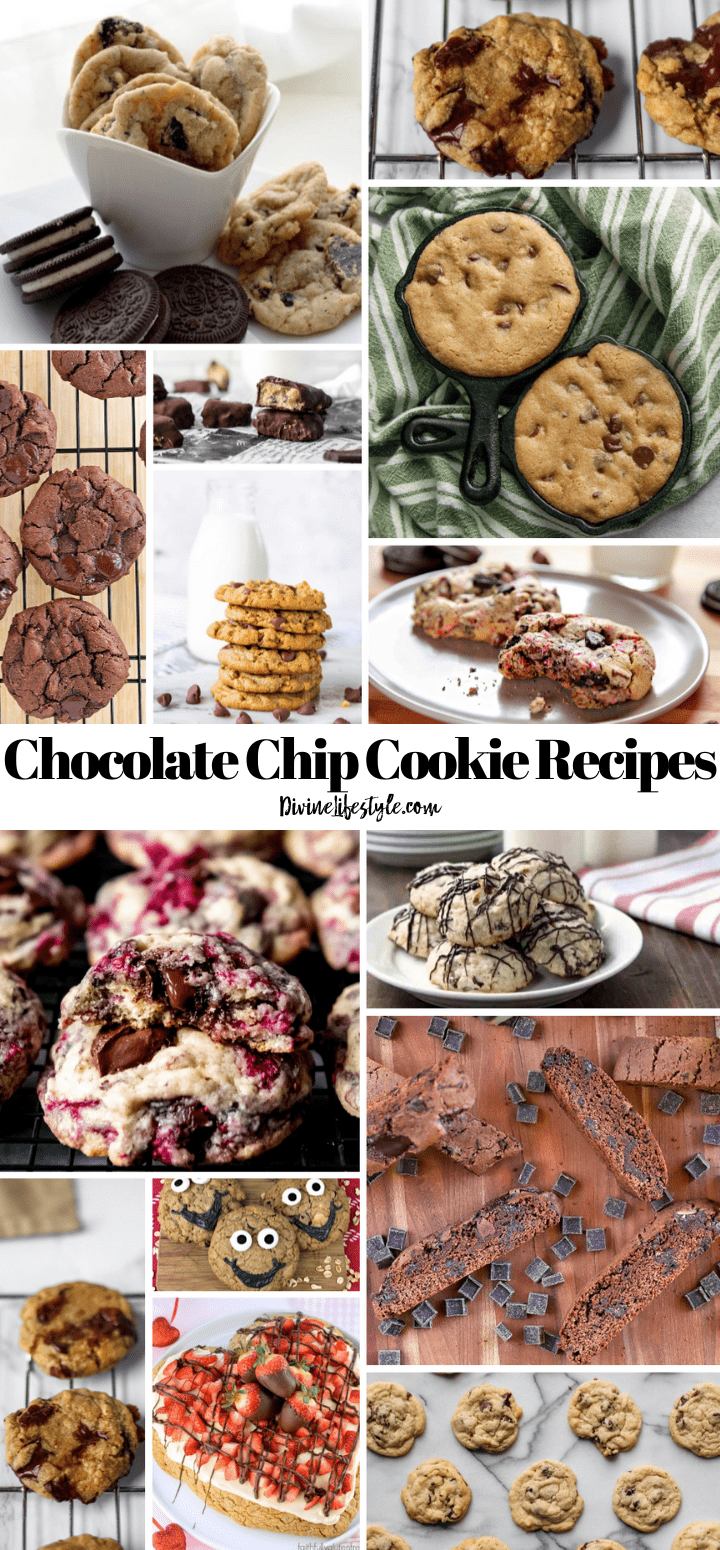 Ultimate Chocolate Chip Cookie Recipes