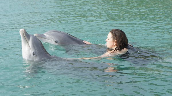 Visiting Grand Bahama Island: The Softer Side of the Bahamas Part 2 - swim with dolphins