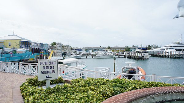 Visiting Grand Bahama Island - Marina