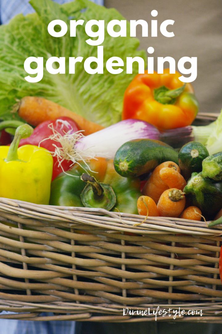 Organic Gardening 101