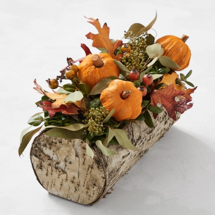 Williams Sonoma Fall in Love Live Wooden Log Live Centerpiece Thanksgiving Tabletop Decor turkey centerpieces table ideas