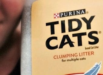 tidy cats