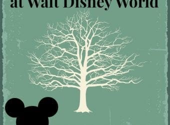 Planning a Family Reunion at Walt Disney World