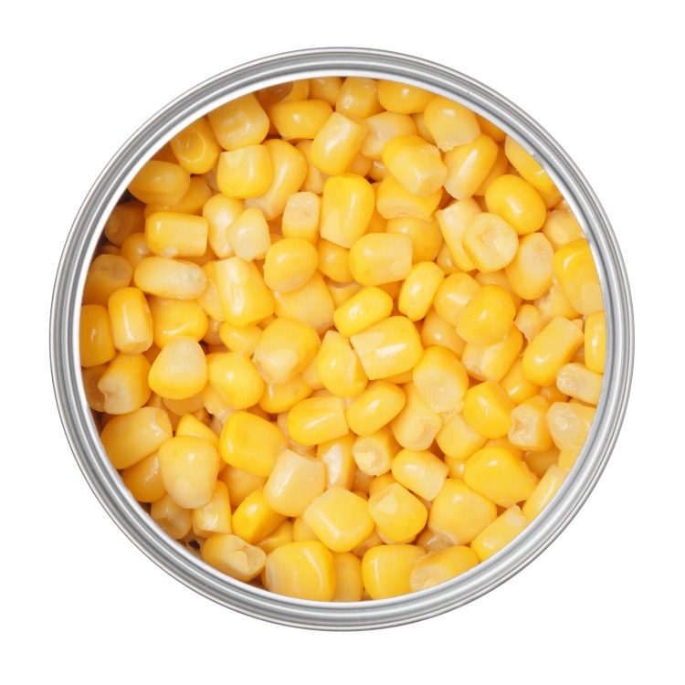 corn in can on a white background