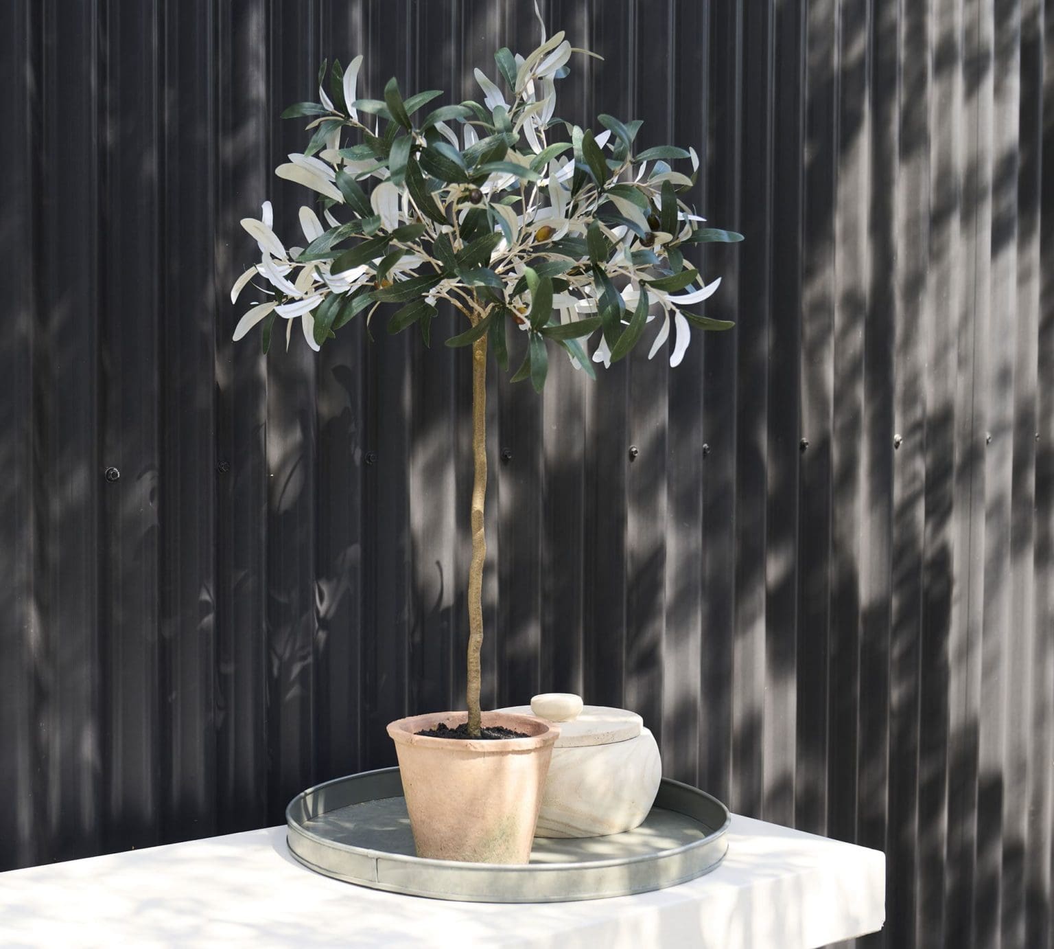 Front Door Topiary Ideas