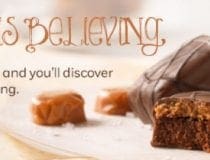 Weight Watchers Salted Caramel Brownies Tasting is Believing