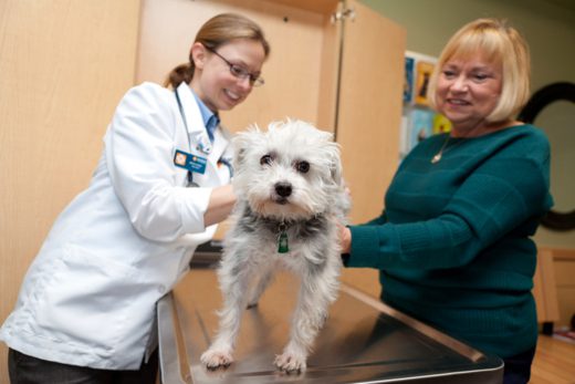 Banfield Pet Hospital