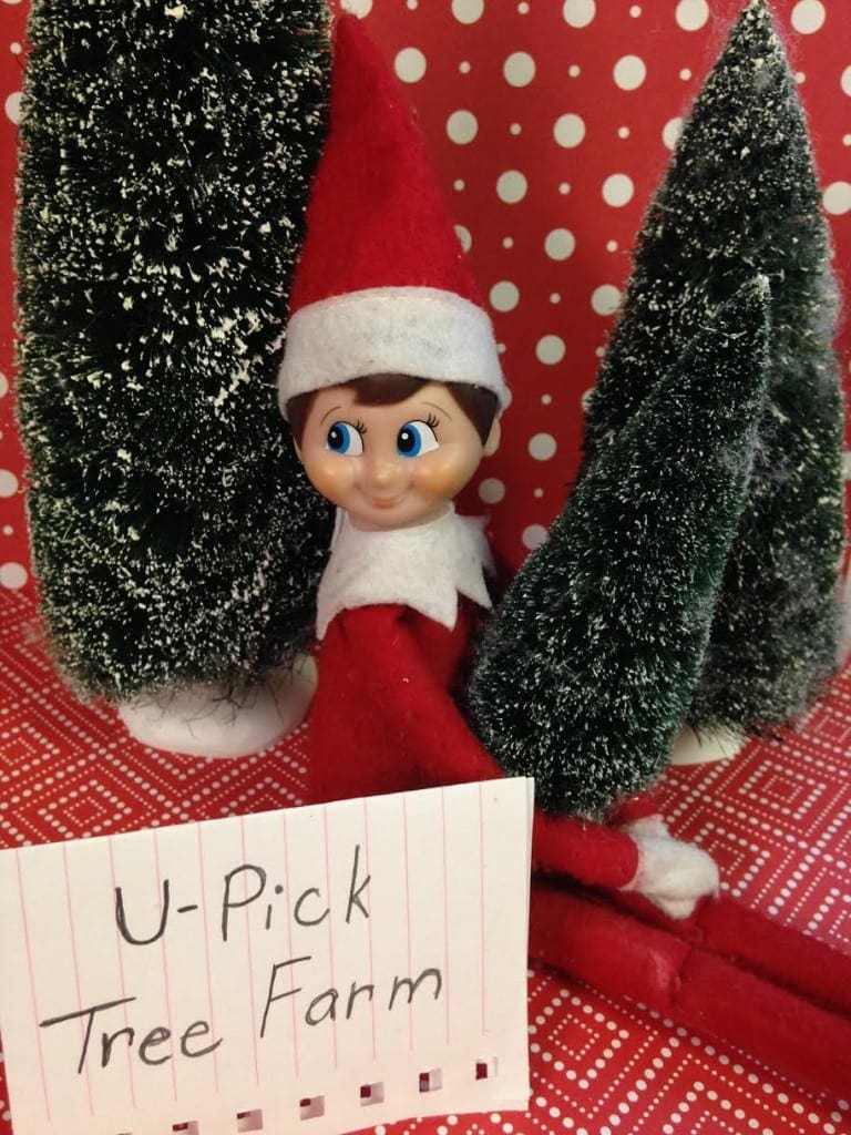 Best Elf on the Shelf Ideas