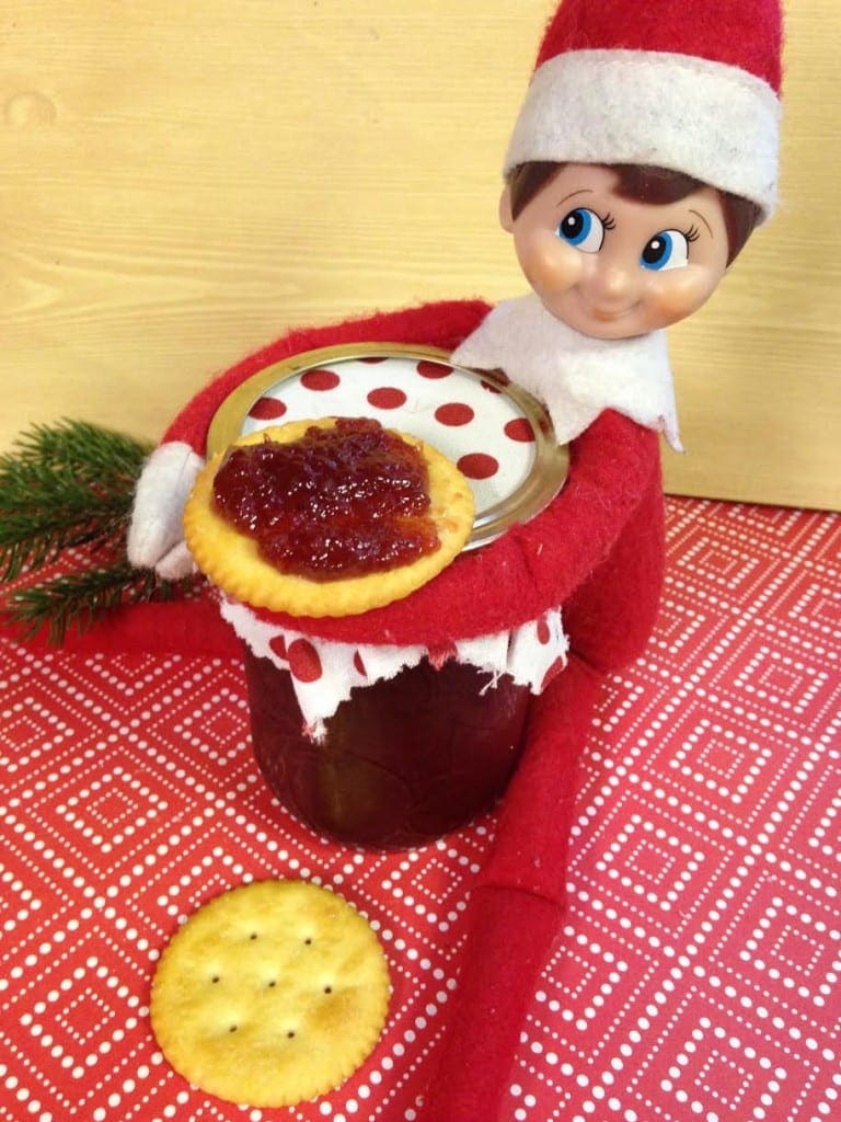 Best Elf on the Shelf Ideas