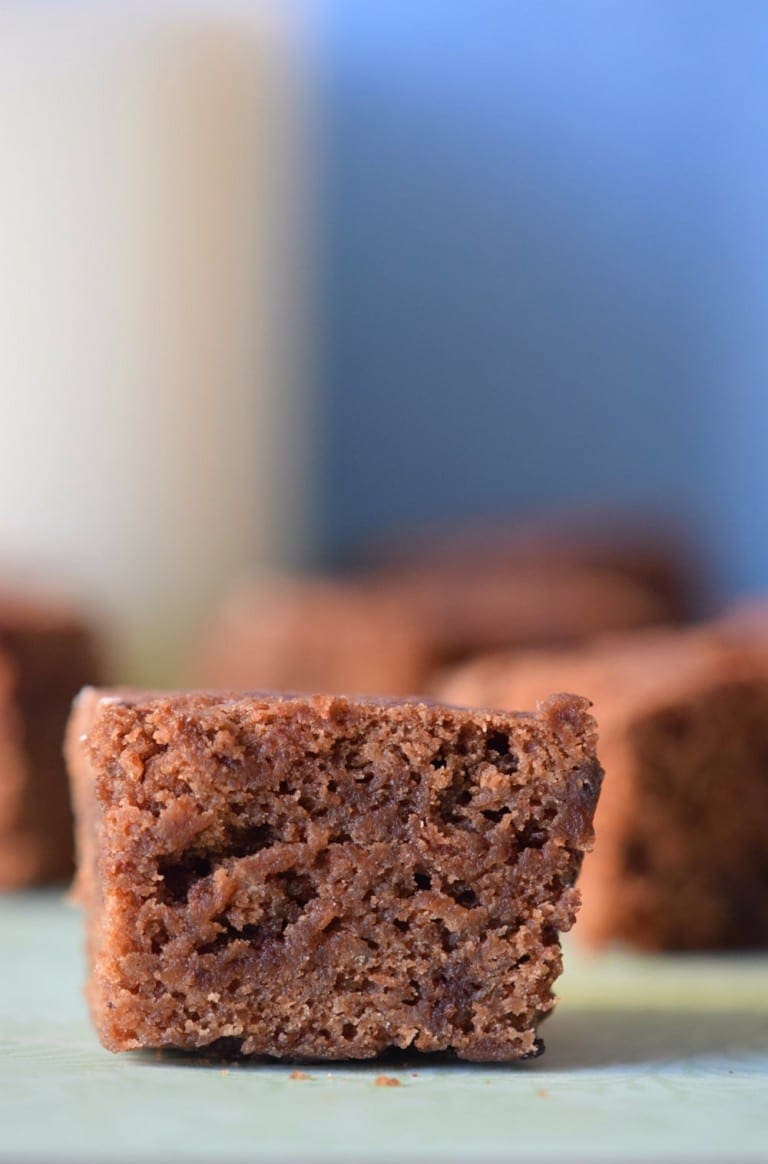 Bite Sized Greek Yogurt Brownies