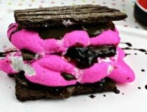 Chocolate Hazlenut Raspberry Peep Smores 8