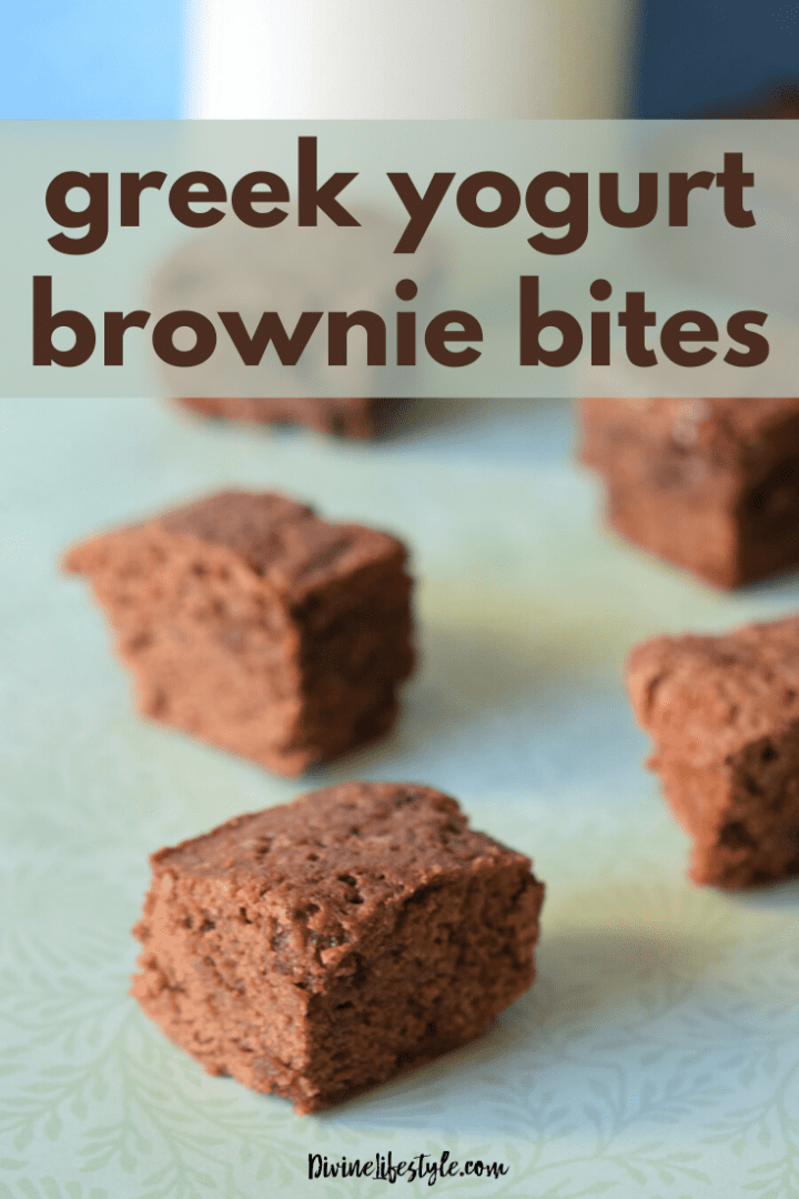 Greek Yogurt Brownies from scratch