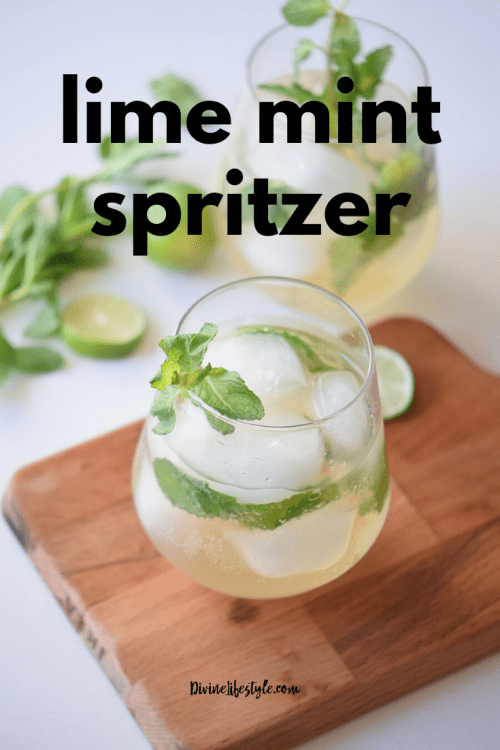 Easy Lime Mint Spritzer Recipe Virgin Mojito Mocktail