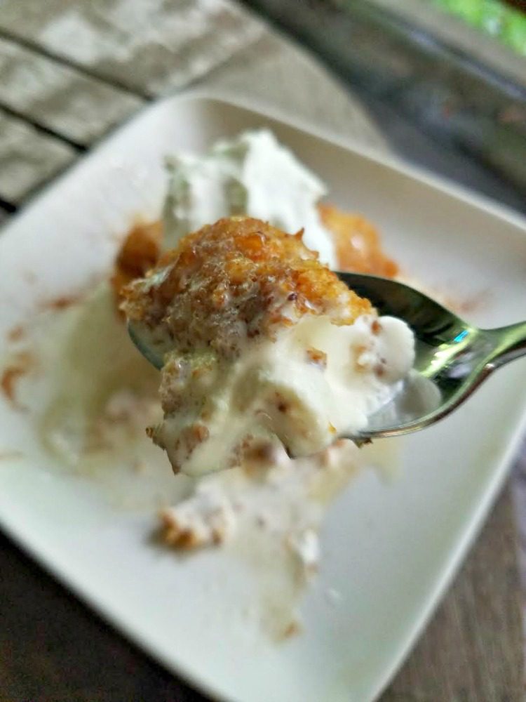 Fried Ice Cream Recipe with John Wm. Macy's Madagascar Vanilla SweetSticks