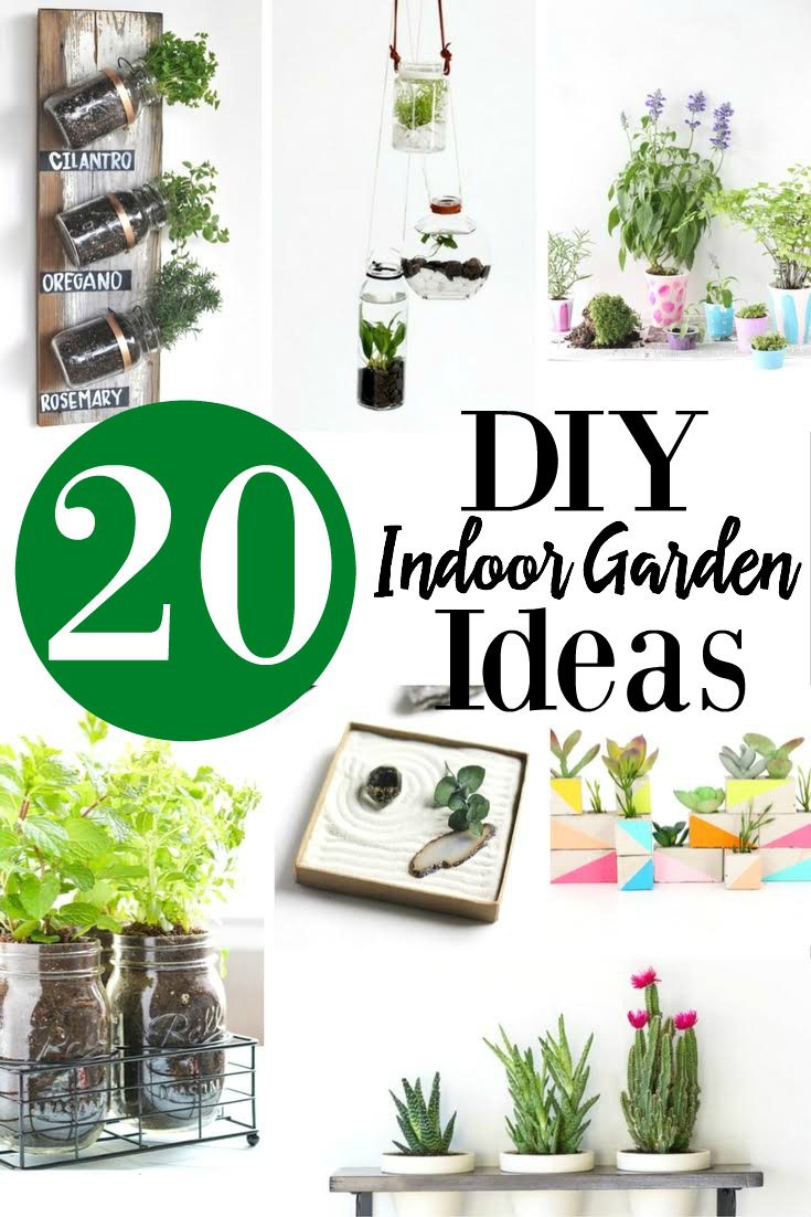 20 DIY Indoor Garden Ideas Plants Divine Lifestyle