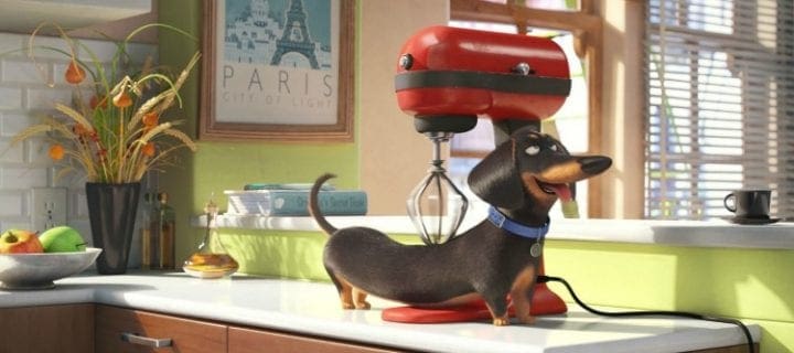 The Secret Life of Pets’ coming to DVD + Blu-ray #TheSecretLifeOfPets #PetsPack