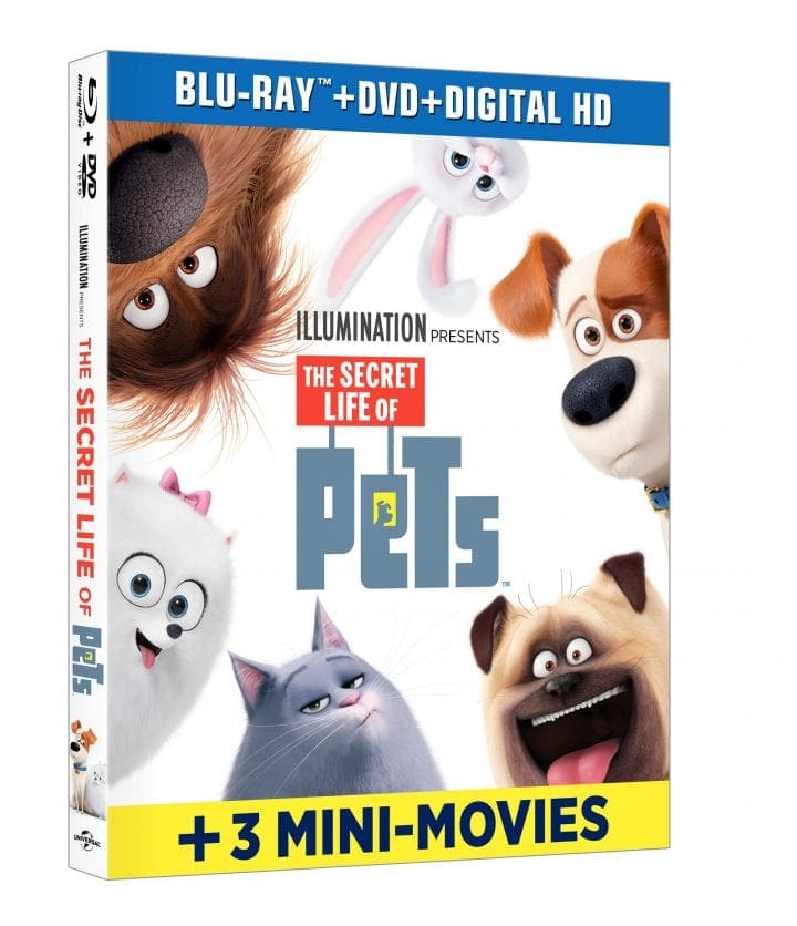 the secret life of pets movie dvd