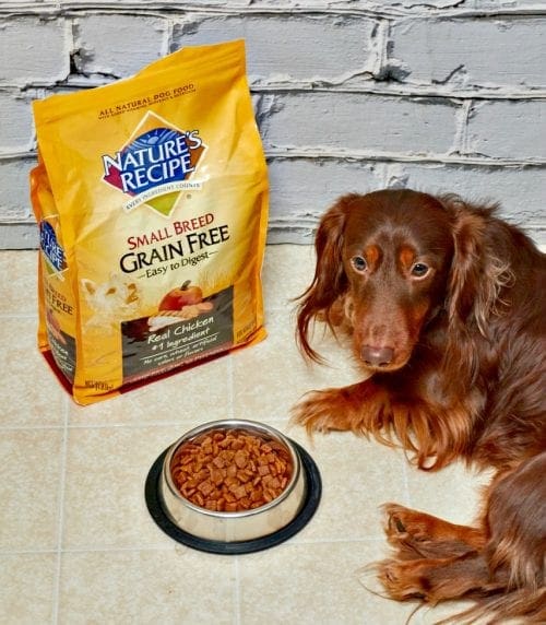Nature's Recipe Healthy and Beneficial Food for Your Dog