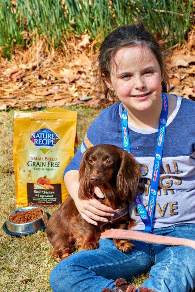 Nature's Recipe Healthy and Beneficial Food for Your Dog