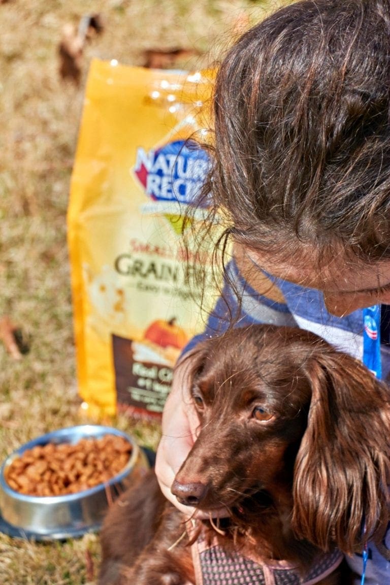 Nature's Recipe Healthy and Beneficial Food for Your Dog